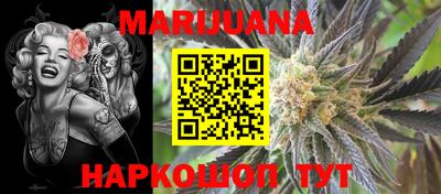 МДПВ Моздок