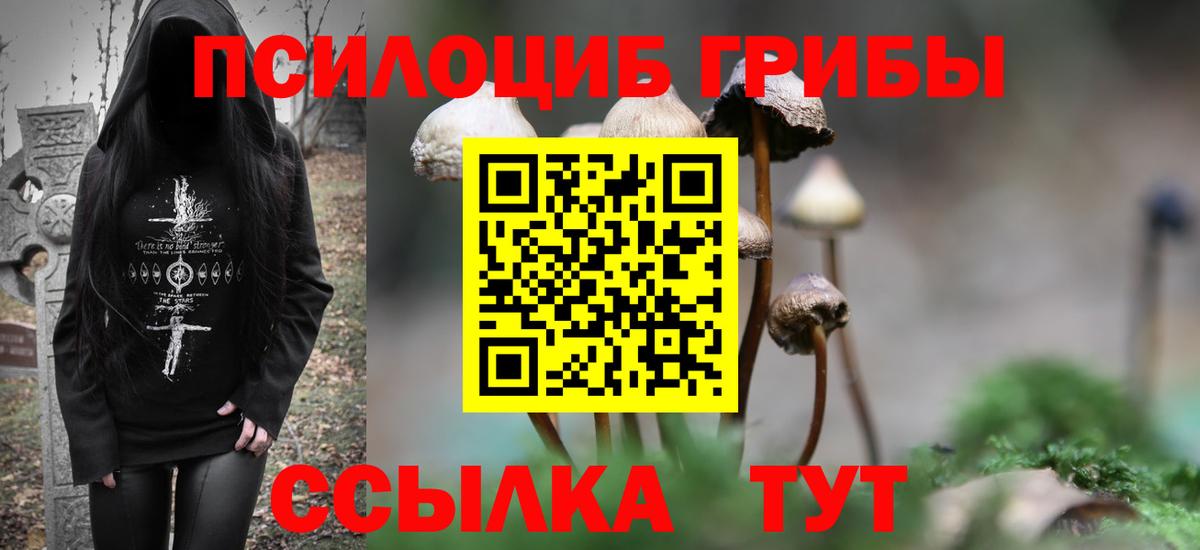 Советский  Псилоцибиновые грибы GOLDEN TEACHER  Вход с VPN 